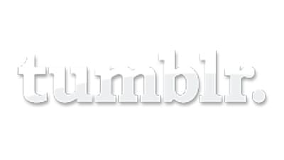Tumblr Logo 2007