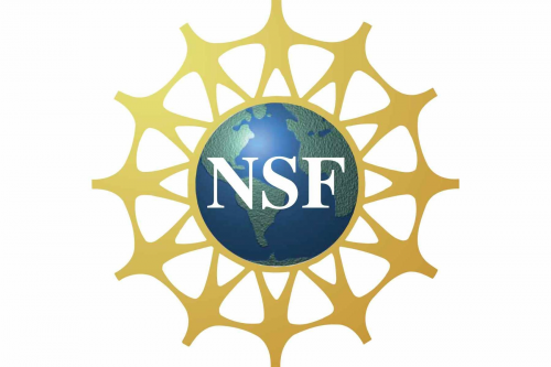 National Science Foundation logo 1999