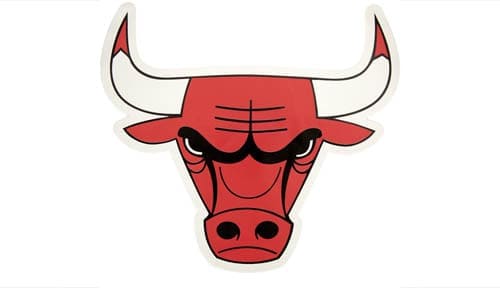 Chicago Bulls logo small