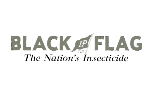 Black Flag Logo old