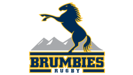 Brumbies Logo tm