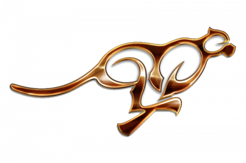 logo Cheetah Racing