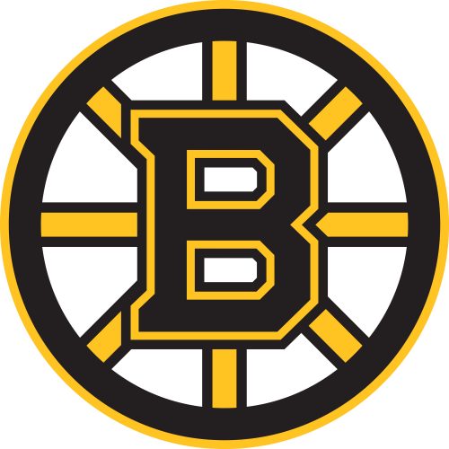 Boston Bruins Logo 