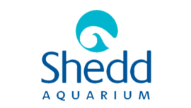 Shedd Aquarium logo tumb